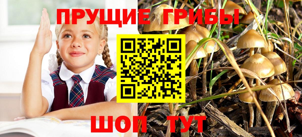 Галлюциногенные грибы мухоморы  Псилоцибиновые грибы прущие грибы  Вход с VPN  Белогорск 