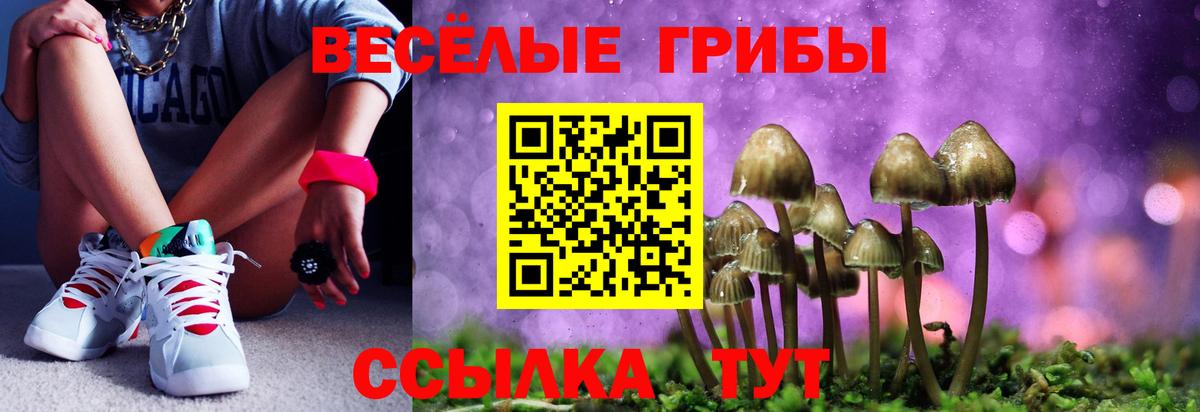 Псилоцибиновые грибы мухоморы Белогорск